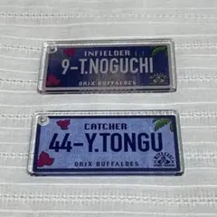 Item thumbnail for item d0cd8efa-7788-462e-8c58-7f9841ac0b72