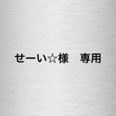 【せーい☆様 専用】