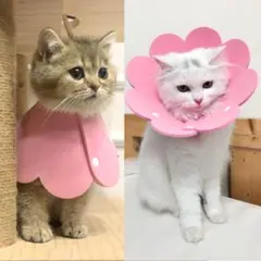 ⭐︎ エリザベスカラー　猫用 犬用 ソフト 着脱便利 傷舐め防止 ピンク S