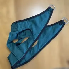 Item thumbnail for item ea2344c1-54d5-47c3-85ce-acad9a719e26