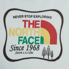 THE NORTH FACE ノースフェイス 白 ロンT ロゴ プリント 穴あり
