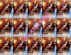 ワンピース 戦光絶景 ドリー 15個セット販売