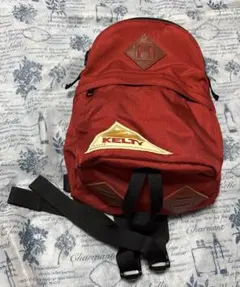 ✨新品未使用品✨KELTY ケルティー 小型ナイロンデイパック リュックのサムネイル