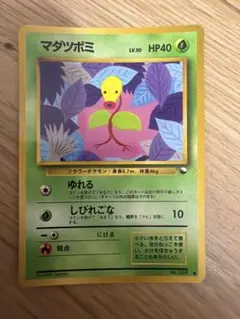 ポケモンカード マダツボミ 旧裏面
