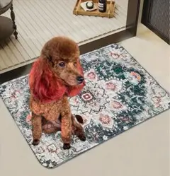 Item thumbnail for item 3c5c20ee-df55-4b98-a15f-58dc35a8679b