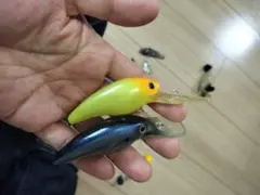 Item thumbnail for item bcd92392-38fc-4f04-ad07-4a69b408088a