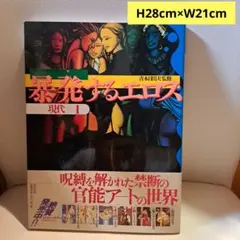 寺山修司幻想舞台写真帖 天井桟敷の人々レア帯付土曜美術社➕️限定版