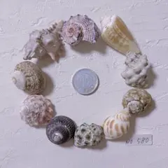 さき様 リクエスト2点 おまとめ商品