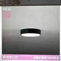 Item thumbnail for item 50d05849-46ca-4686-986d-37e353443bb5