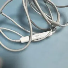 iPhone付属品イヤホン、ライトニングケーブル、Apple正規品