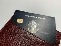 アメックス　カードケース　ケースは付属いたしません　センチュリオン　ノベルティ 2026年最新】Amex カードケースの人気アイテム - メルカリ