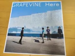 2026年最新】grapevine レコードの人気アイテム - メルカリ