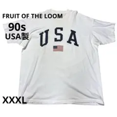 FRUIT OF THE LOOM 90s シングルUSA製プリント Tシャツ