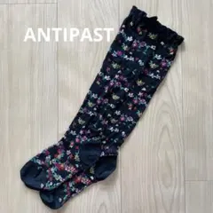 ANTIPAST ソックス