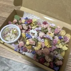 Item thumbnail for item 7d896213-3ef8-4046-9a43-0c3ea1238d0d