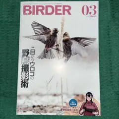 美品【BIRDER】2024年 BIRDER（バーダー） 2024年11月号