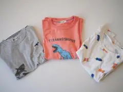 インセクトコレクション シャツ