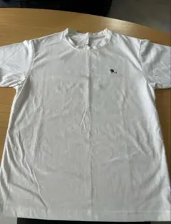 Item thumbnail for item fec1a5e6-b170-4619-aafb-d82ccb52a6b3