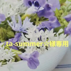 ta-summer☆様専用　野菜