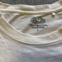フルーツオブザルーム　レディースLサイズTシャツのサムネイル