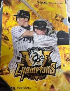 阪神 クリアファイル 大山 金本