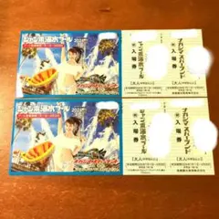 ナガシマスパーランド ジャンボ海水プール 入場券 2枚 - メルカリ