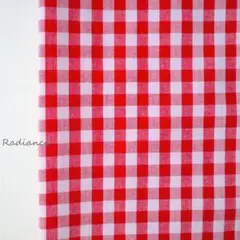 256.チェック柄 薄シーチング コットン はぎれ布 生地 赤