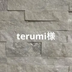 terumi様 2/21日迄お取り置き可能です。