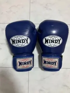 2026年最新】ウイニング グローブ 16オンスの人気アイテム - メルカリ