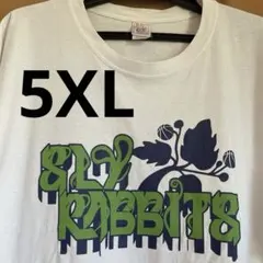 ビッグサイズ！CROSS STITCH 5X-LARGE Tシャツ