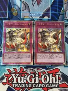 ドラグマパニッシュメント 25th - メルカリ