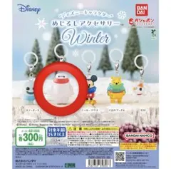 Disney めじるしアクセサリーWinter