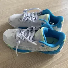 バッシュ バスケットボール