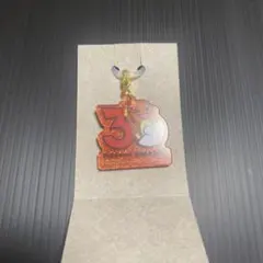 ポケモン Poké-Charm 30周年ロゴマスコット　ヒトカゲ