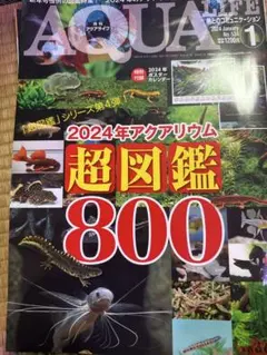 アクアライフ2024年1月号