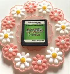 ✨ポケモン不思議のダンジョン【空の探検隊】DS✨動作確認済み✨