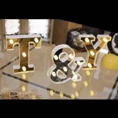 【土日限定価格】ウェルカムスペース　冬婚　T&Y イニシャル　ライト 結婚式