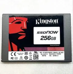 KINGSTON SSD SATA 256GB SATA 正常 6091h