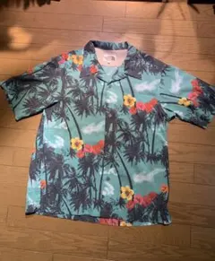 Item thumbnail for item 88cc9173-aac7-46de-8fa8-0f115b5e1aa6