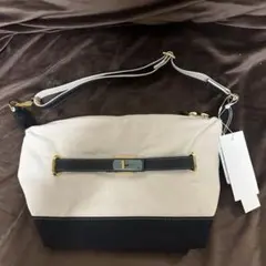 み*い様 未使用　IANNE イアンヌ　ポリーヌ　クラッチバッグ　ショルダーバッ み*い様 未使用 IANNE イアンヌ ポリーヌ クラッチバッグ ショルダー