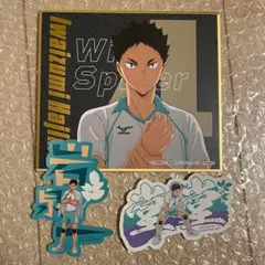 【新品未使用】ハイキュー ビジュアル色紙 モバイルステッカー 青葉城西 岩泉一