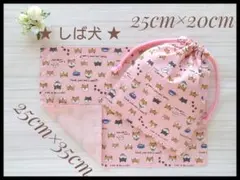 Item thumbnail for item fe2e6877-cf60-4d43-828f-5f5d08c97a13