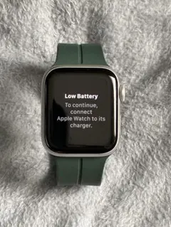 Apple Watch SE マグネットバンド 純正ケーブル付き