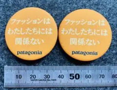 2025年最新】パタゴニア ピンバッジの人気アイテム - メルカリ