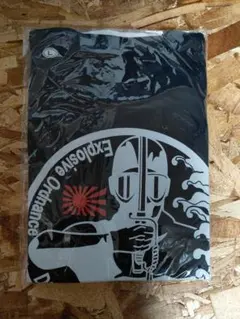 Item thumbnail for item 84fb2655-0c3f-48f5-b481-a50430faee9a