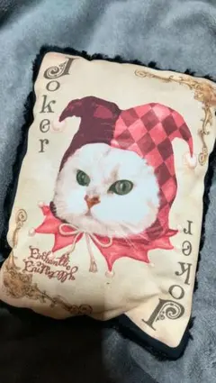 ❤️ノベルティークッション❤️アンシャンテリックアンシャンテリーのサムネイル