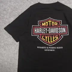 T672 90s Harley-Davidson　プリント　ALSTYLEのサムネイル