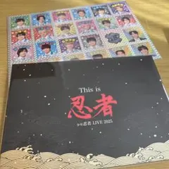 ディズニーのプリンセス展しおり - メルカリ