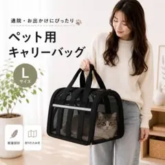 Ｌ ペット用キャリーバッグ 折りたたみ 猫 犬 外出 通院 軽量 ブラックのサムネイル