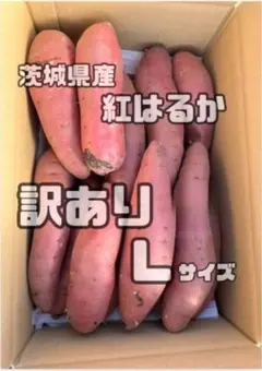 2026年最新】さつまいも 紅はるか 20kgの人気アイテム - メルカリ